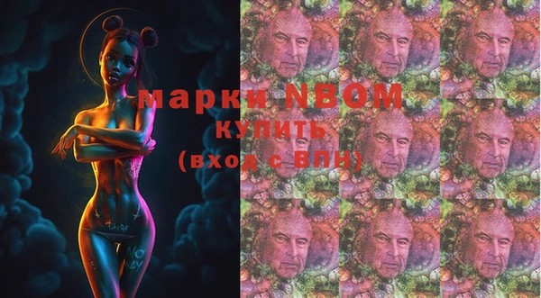 хмурый Абаза