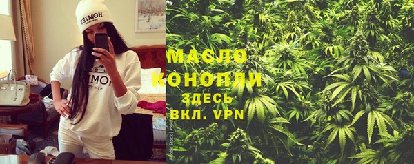 хмурый Абаза