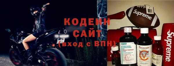 хмурый Абаза