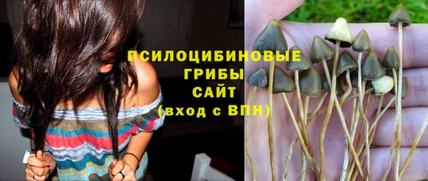 хмурый Абаза
