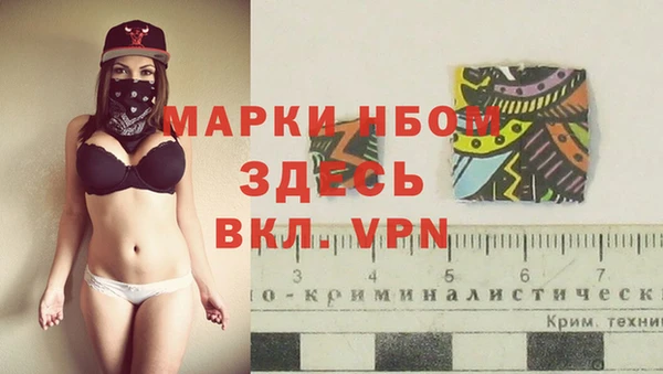 хмурый Абаза